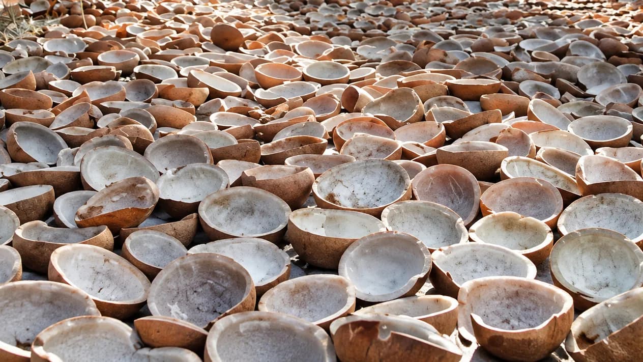 Edible Copra