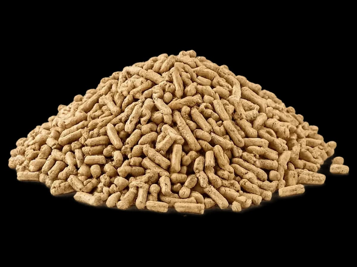 Wood Pellet