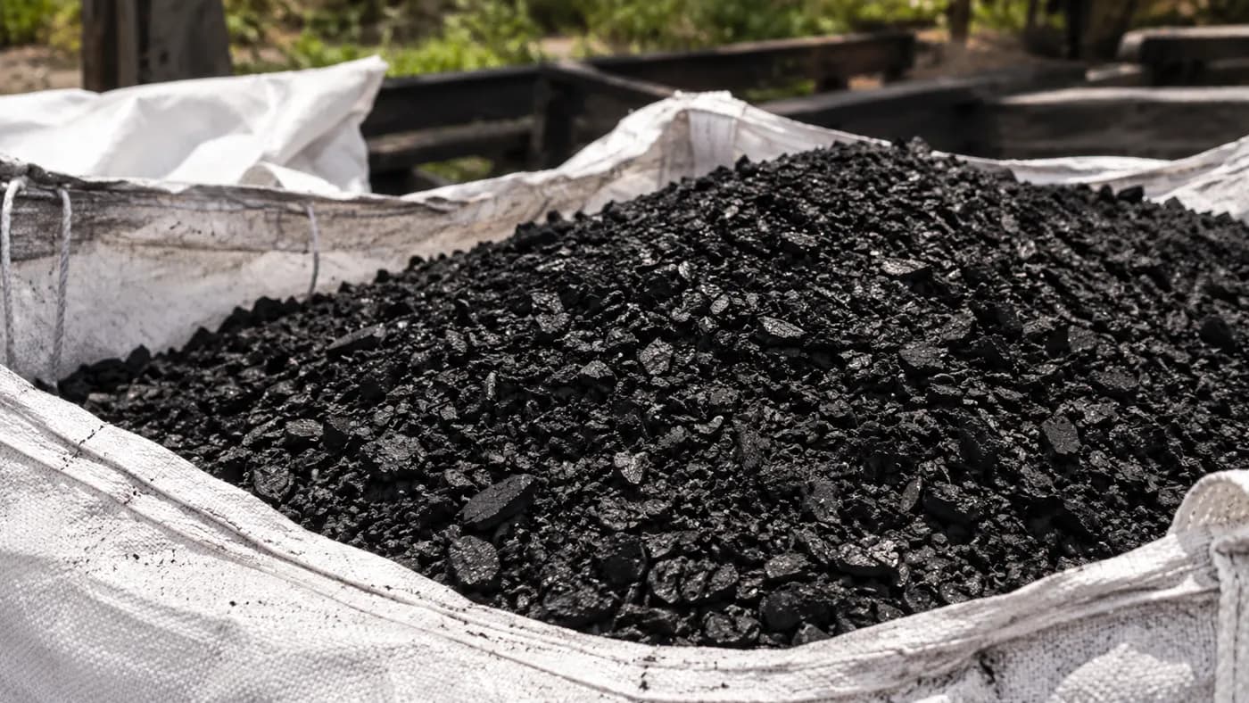Biochar Batok Kelapa